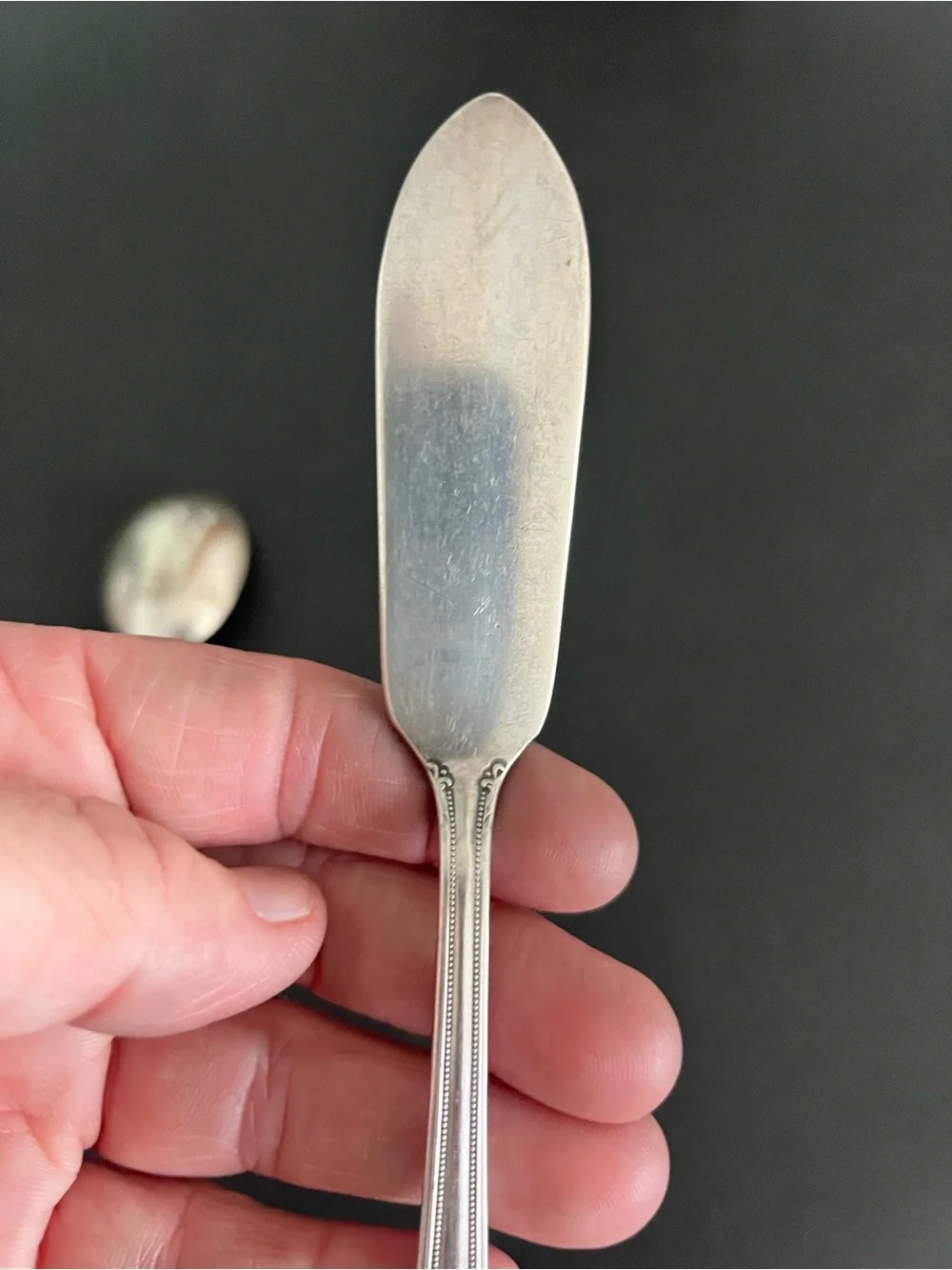 Silver-Color Ornate Serving Spoon and Spreader Set